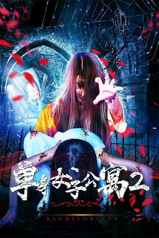 单身女子公寓2 | movie poster